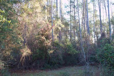 0 Forest Ln, Crawfordville, FL 32327 - photo 3