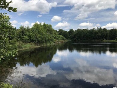 Lot 1 Chow Ln, Conway, SC 29526 - photo 7