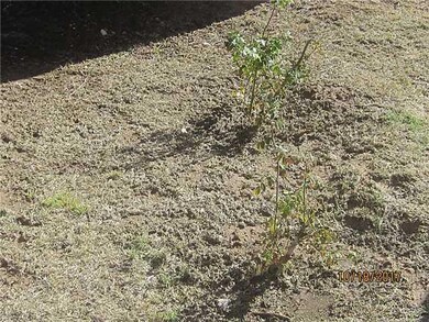 14481 Thayer Pease Ave, Horizon City, TX 79928 - photo 5