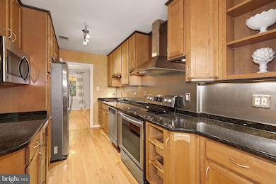 11766 Carriage House Dr, Silver Spring, MD 20904 - photo 5