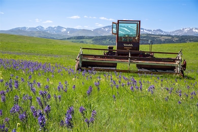 21001 Us Highway 2, East Glacier Park, MT 59434 - photo 5
