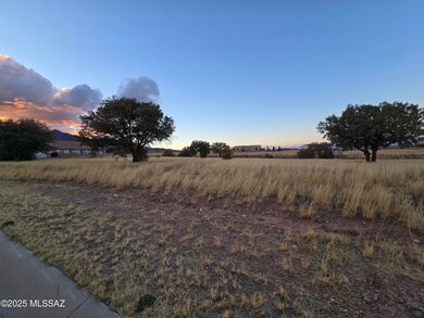 TBD Saddlehorn Cir unit 10, Hereford, AZ 85615 - photo 4