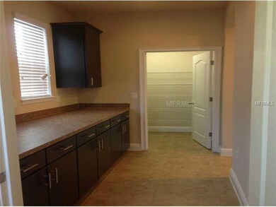 5315 Fishhawk Ridge Dr, Lithia, FL 33547 - photo 4