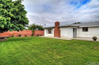 Extra Large Backyard