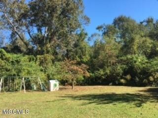 back yard
