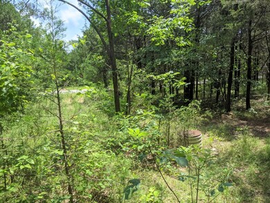 Lot 9 and Road