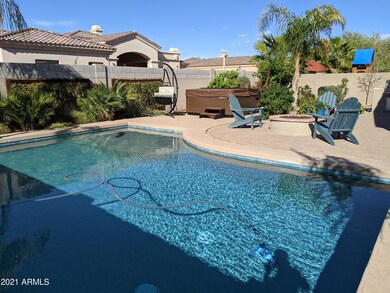 Backyard 4