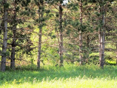 Woods