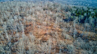 0 Lancaster Rd, Branchville, IN 47514 - photo 4