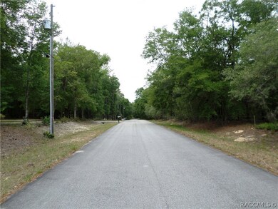 00 SW 80 Place Rd, Dunnellon, FL 34431 - photo 2