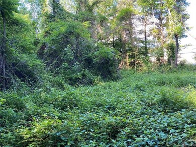 0 N Washington Hwy unit 2017381, Ashland, VA 23005 - photo 4