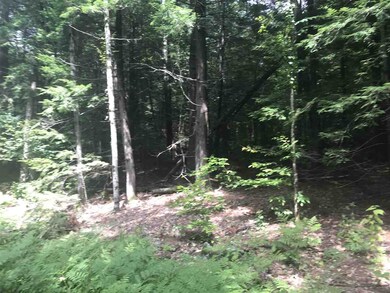 00 Ruppert Rd, Moultonborough, NH 03254 - photo 3