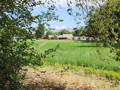 3085 F 1 2 Rd, Grand Junction, CO 81504 - photo 5