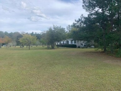 5656 Woodhaven Rd, Pavo, GA 31778 - photo 3