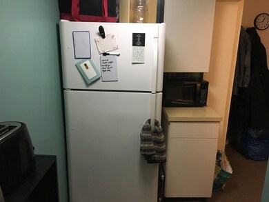 34 Kinross Rd unit 1, Brighton, MA 02135 - photo 4