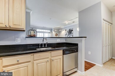The Grove At Arlington unit 1210, Arlington, VA 22206 - photo 6