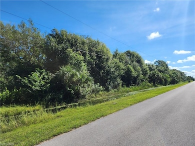 3486 70th Ave NE, Naples, FL 34120 - photo 4