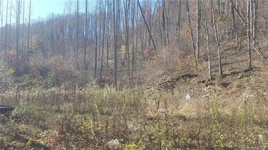 000 Fox Creek Rd, Burnsville, NC 28714 - photo 5