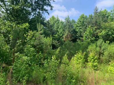 0 Candy Ln unit 10199196, Stantonville, TN 38379 - photo 5