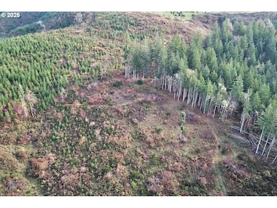 0 SW Eagle Point Rd, Sheridan, OR 97378 - photo 7