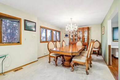 132 Tanglewood Dr, Elk Grove Village, IL 60007 - photo 6