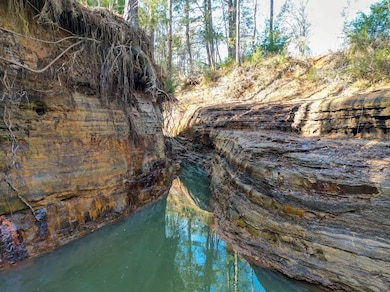 0 Private Road 5150 unit 101825, Palestine, TX 75801 - photo 2