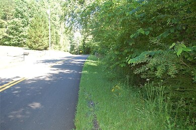 1054 Seven Forks Rd, Martin, GA 30557 - photo 6