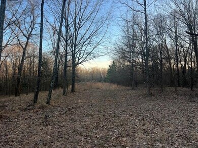 11757 Macon Rd, Unicorp/Eads, TN 38028 - photo 5