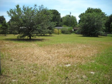 Very large back yard