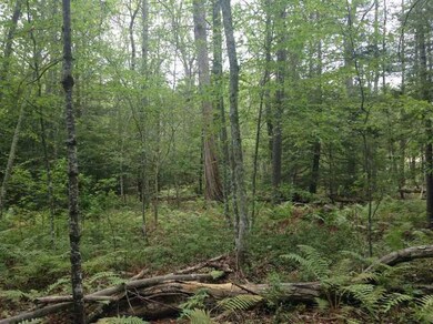 0 Indian Trail unit 1132983, Glocester, RI 02859 - photo 2