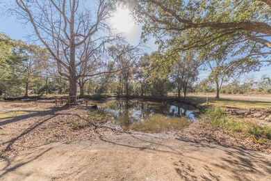 Boat Launch