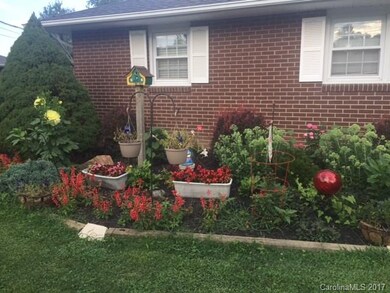 immaculate yard work