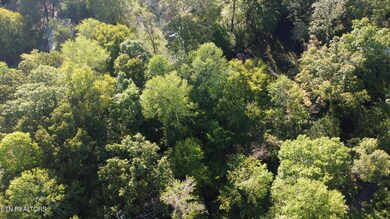 0 Hillrose Dr, Baxter, TN 38544 - photo 7