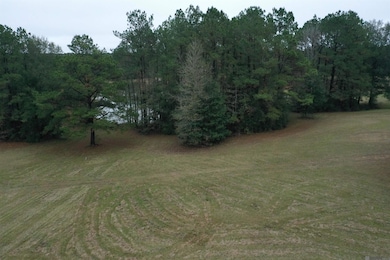 Lot 4-B-1 Louisiana 421, Saint Francisvle, LA 70775 - photo 3