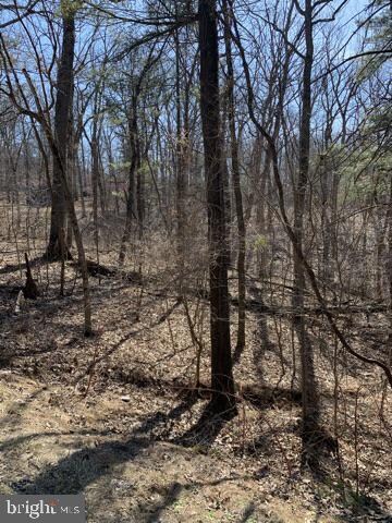 Lot 173 Oasis Ln, Valley, WV 25420 - photo 3
