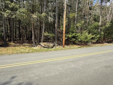 170 / 171 Sir Gawain Ct, Pocono Lake, PA 18347 - photo 4