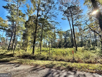 283 Lower Simmons Rd, Macon, GA 31220 - photo 3