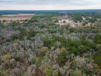 6345 Lake Alapaha Blvd, Naylor, GA 31641 - photo 6