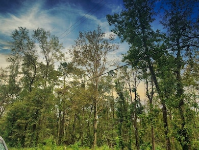 0 Oleander Dr unit 22715278, Vidor, TX 77662 - photo 4