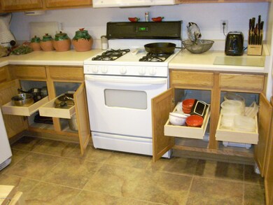 Pull out shelves in Kitchen