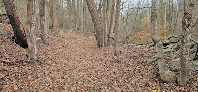 3636 Mill St, Dundee, NY 14837 - photo 6