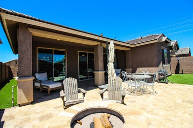 Backyard 1