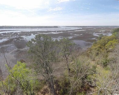 473 Paige Point Bluff, Seabrook, SC 29940 - photo 7