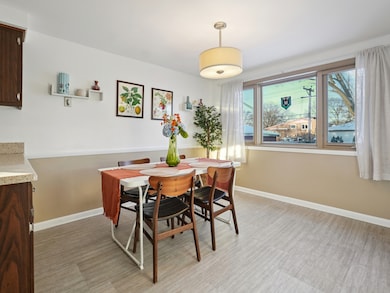 6864 176th St, Tinley Park, IL 60477 - photo 4