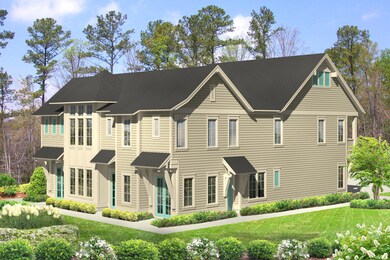 Triplex C Back