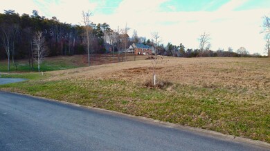 Magnolia Manor - Lot 10 - Berkley Ct