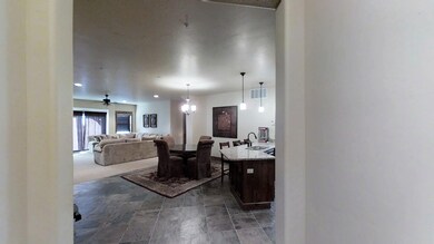 Entry view - Copy