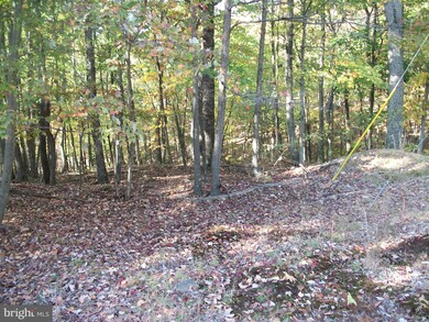 0 Seldom Seen & Bob unit WVMO117614, Great Cacapon, WV 25422 - photo 3