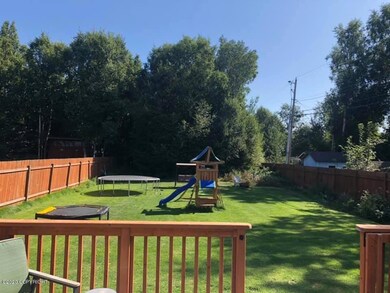 back yard