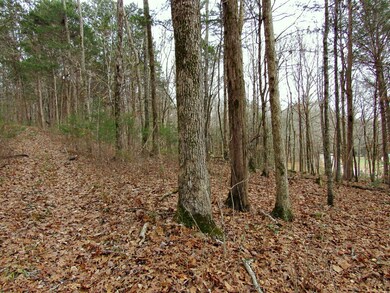 0 Mayberry Prong Rd unit 2105945, Linden, TN 37096 - photo 4